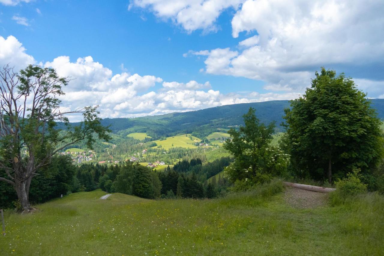 - Centrum, Z Wislaczkiem - Dream Wisla